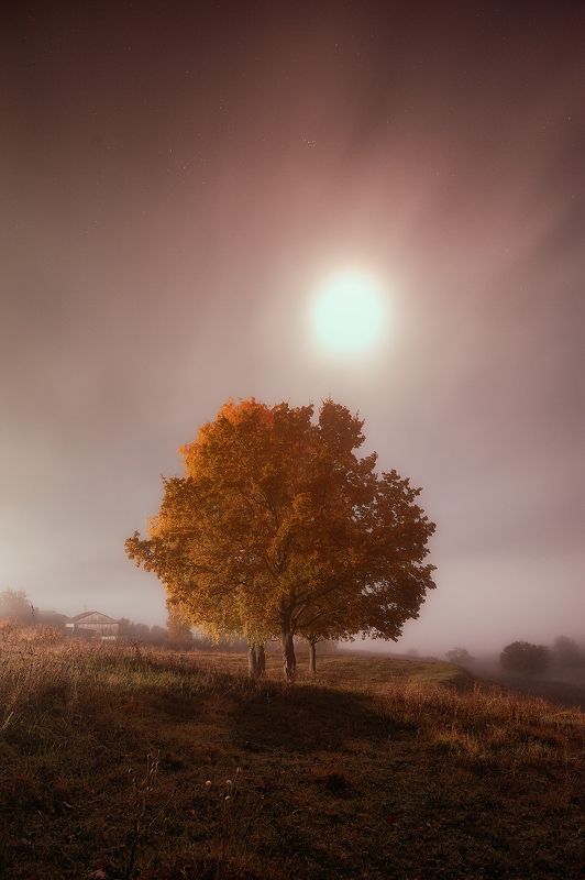 Полнолуниеphoto preview