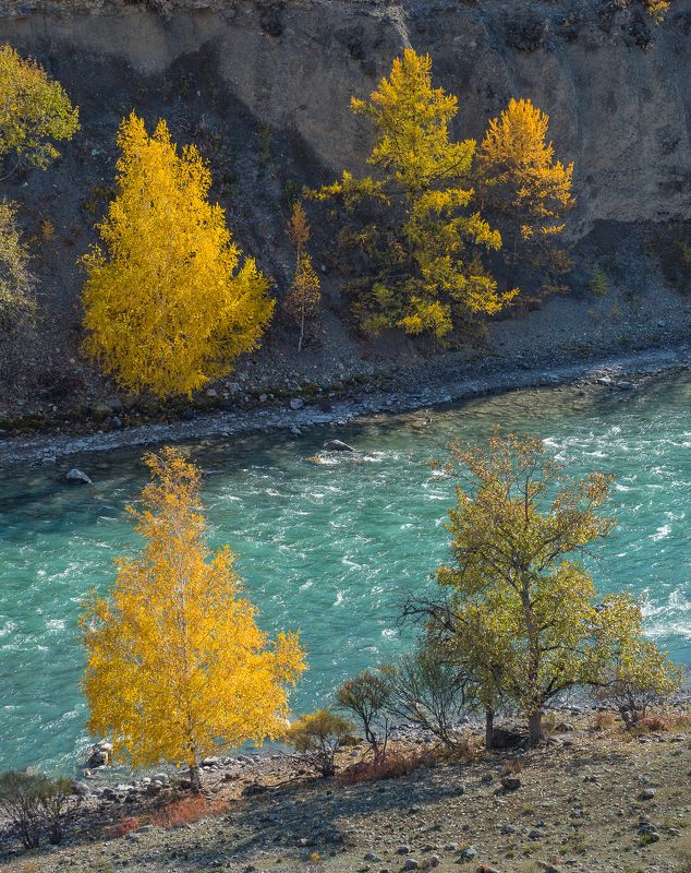 Краски Алтаяphoto preview