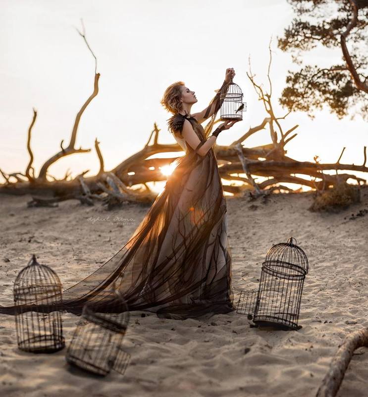 Freedomphoto preview