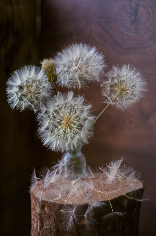 Лето.photo preview