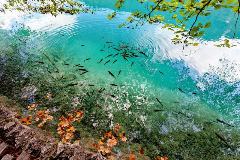 Плитвицкие озёра, Хорватияphoto preview