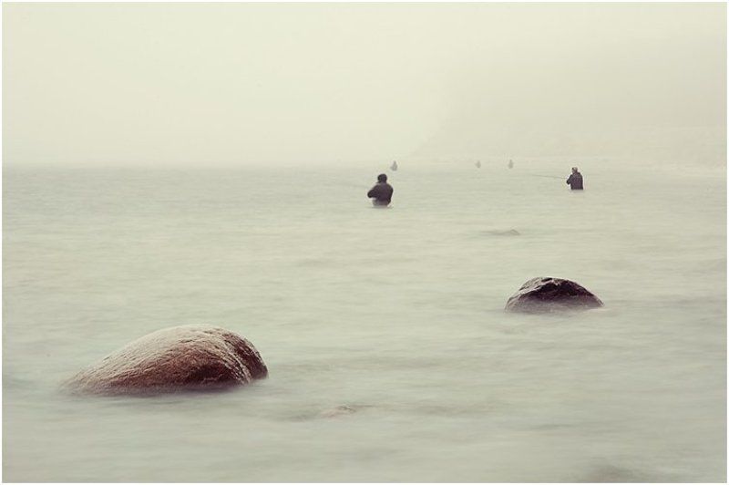 параphoto preview