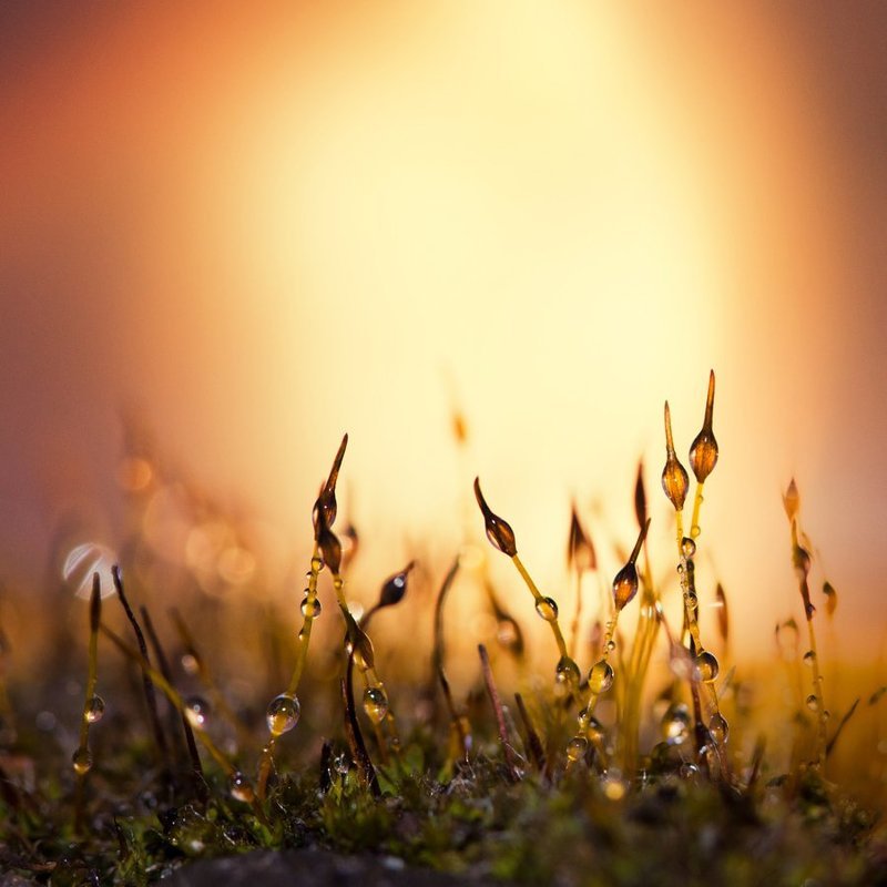 sleep togetherphoto preview