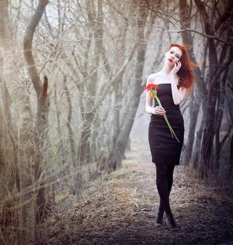 герберы, ветер, весна ...photo preview