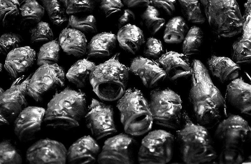 рыба ***photo preview