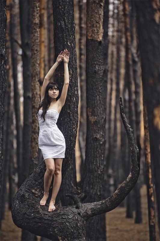 фото превью