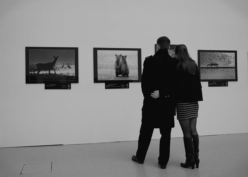 People. They are so animal.photo preview