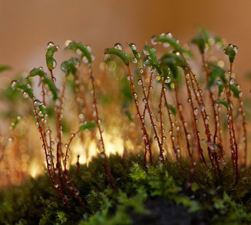 Back Againphoto preview