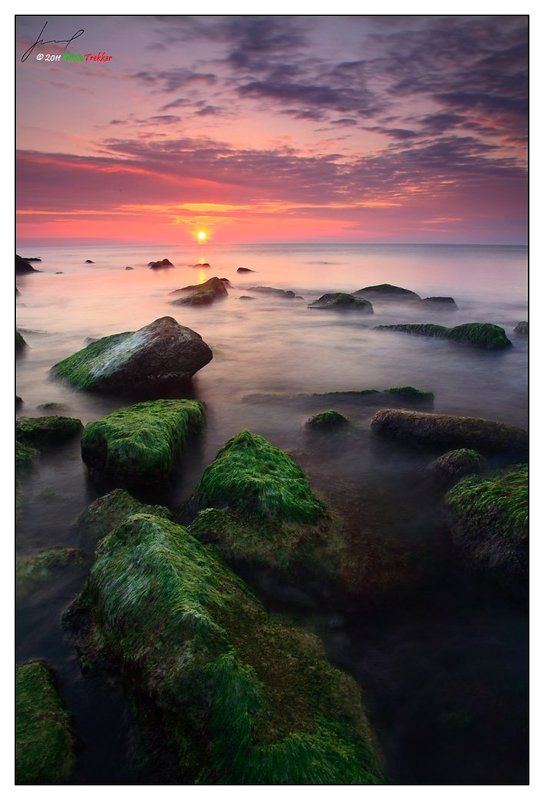 2011, bulgaria, black sea, april, spring, water, blur, rocks, sea weed, sunrise, clouds, sky Рассвет IIphoto preview
