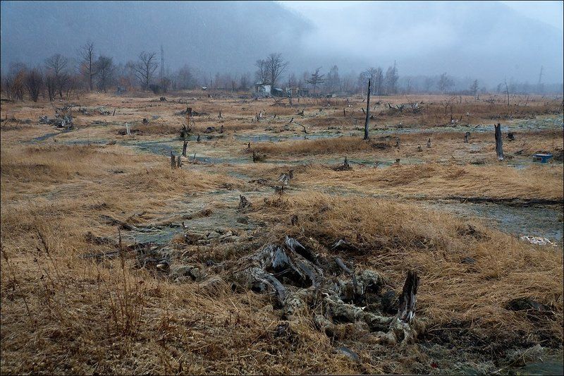 болото Топи Моррииphoto preview