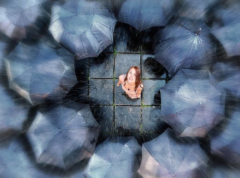 wwwest Дождьphoto preview