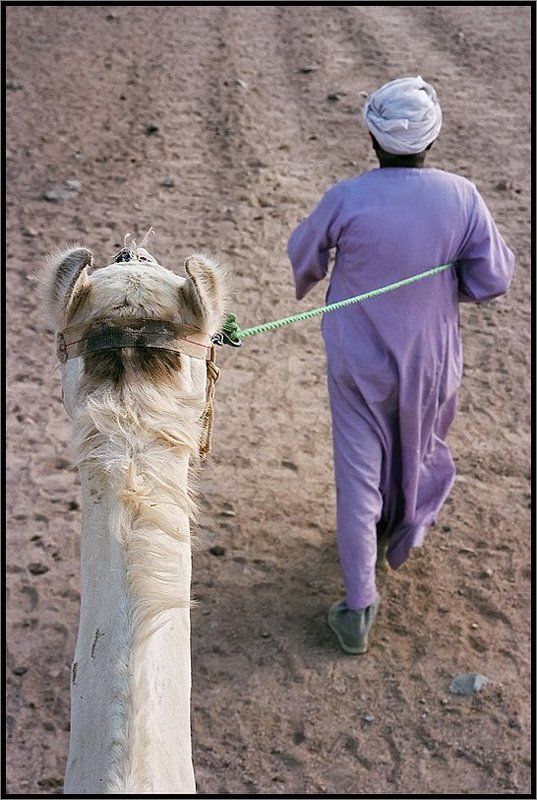 Караванphoto preview