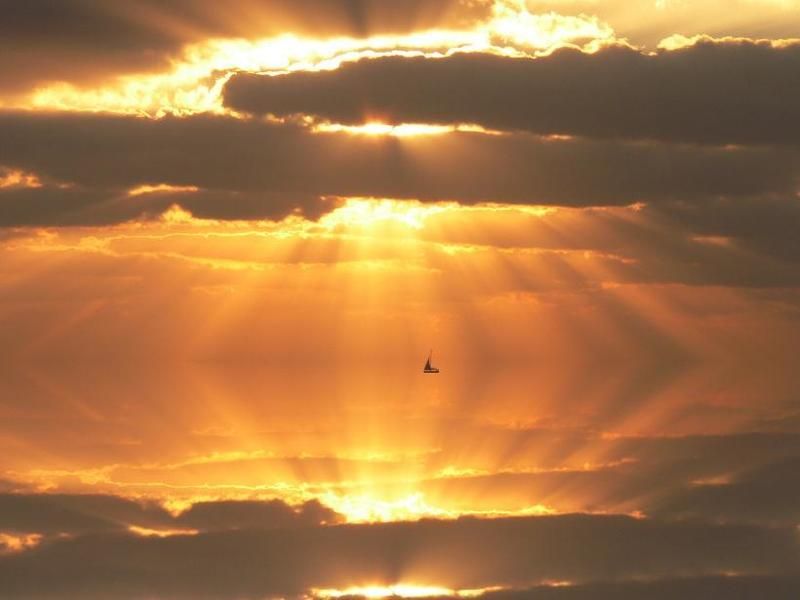 Плавая в лучах солнца..photo preview