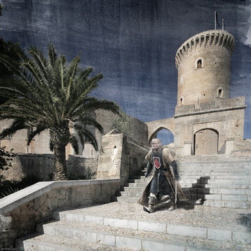 alone .photo preview