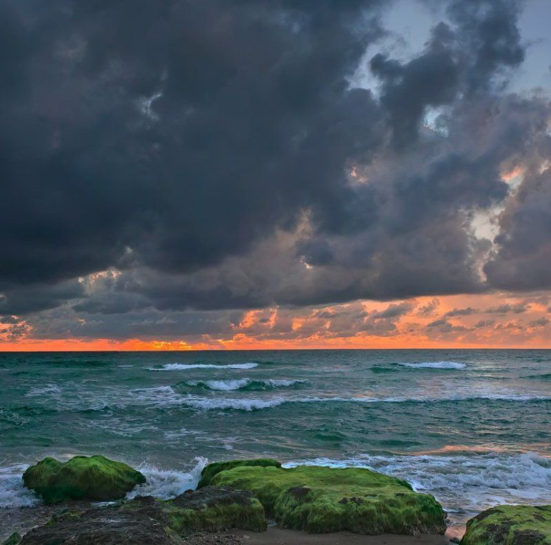 Предсказание...photo preview