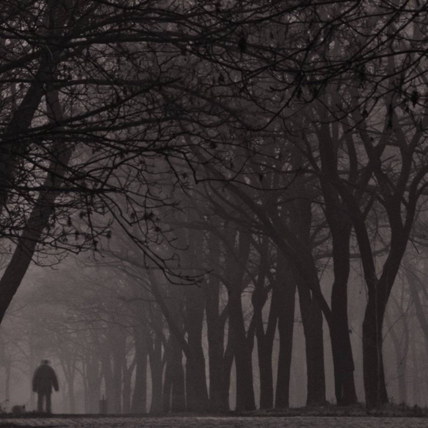 , Павел Хлыпенко