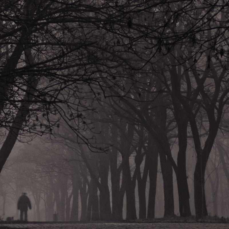 В поисках одиночестваphoto preview