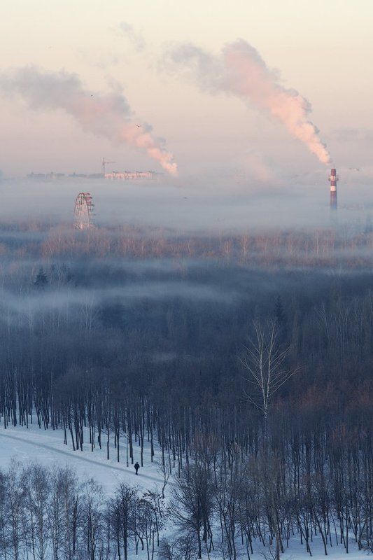 Иногда туман сам приходит к тебеphoto preview