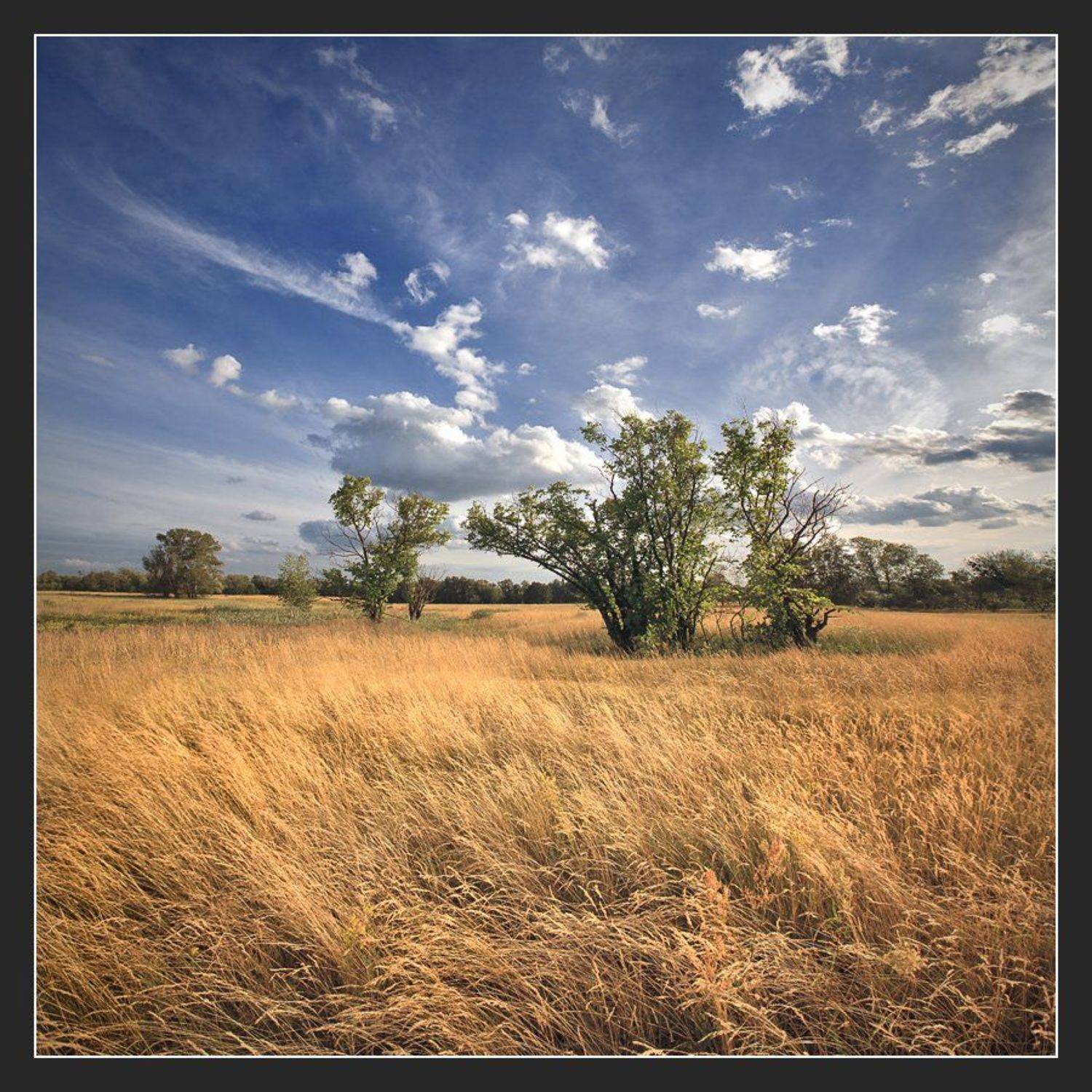 Черторой... Конец июля... Вечер...(цветной вариант). Автор: Алексей Соловей , Алексей Соловей