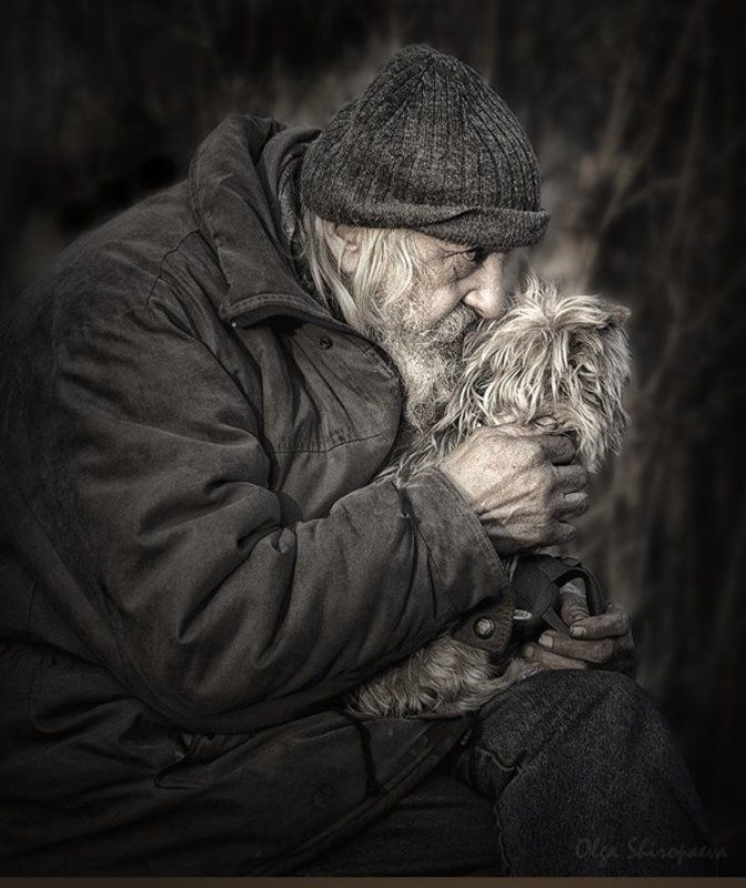 один, собака, семья, старость Единственная привязанность.photo preview