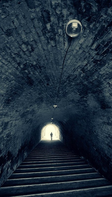 Shoots and Laddersphoto preview