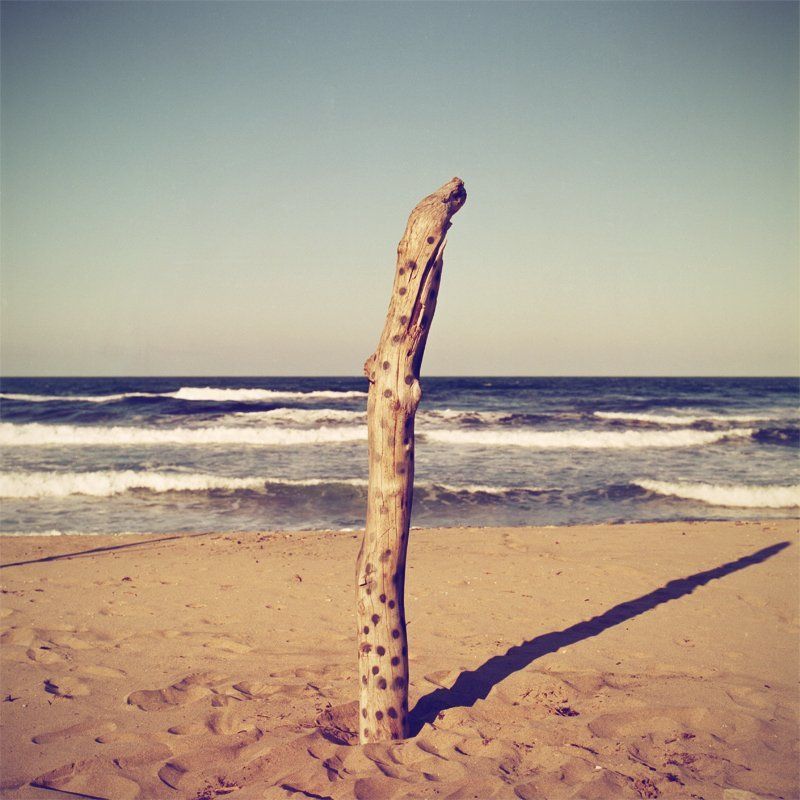 time фото превью