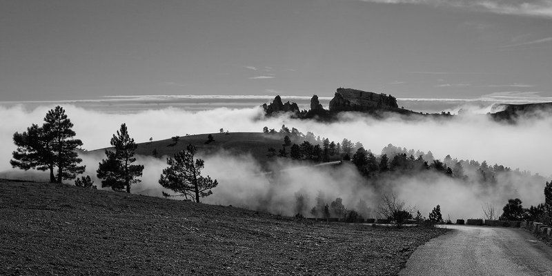 Силуэты.photo preview