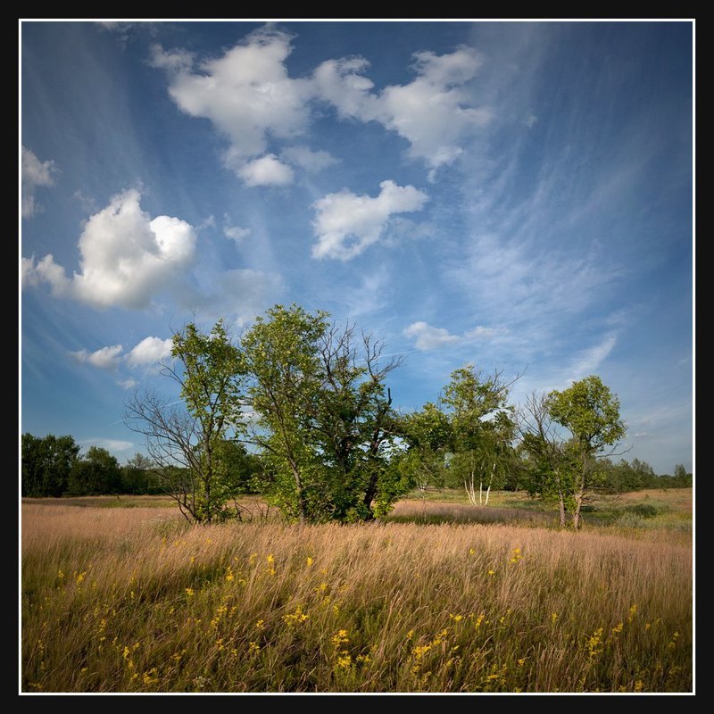 Вспоминая лето...photo preview