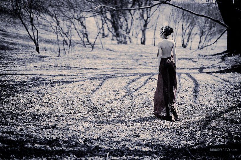 .................photo preview