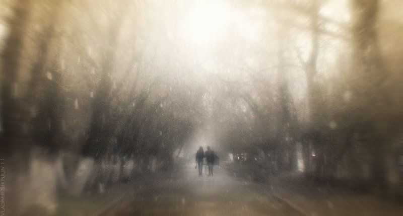 парк,парки,аллея,аллеи,дорога,дороги,путь,пути,владимир,шипулин,фотограф,томск,пара,пары,девушка,парень,мужчина,городской,город * * *photo preview