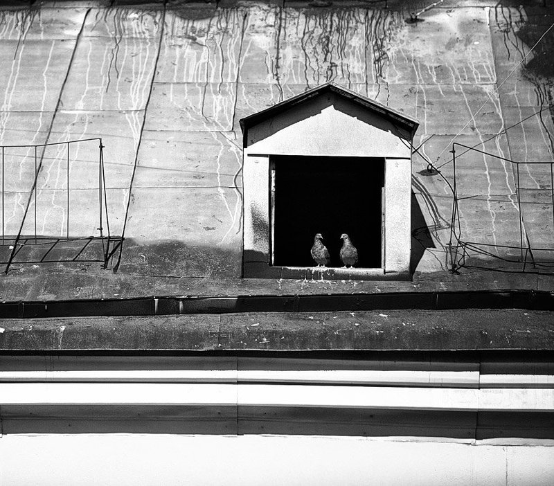 любовь photo preview