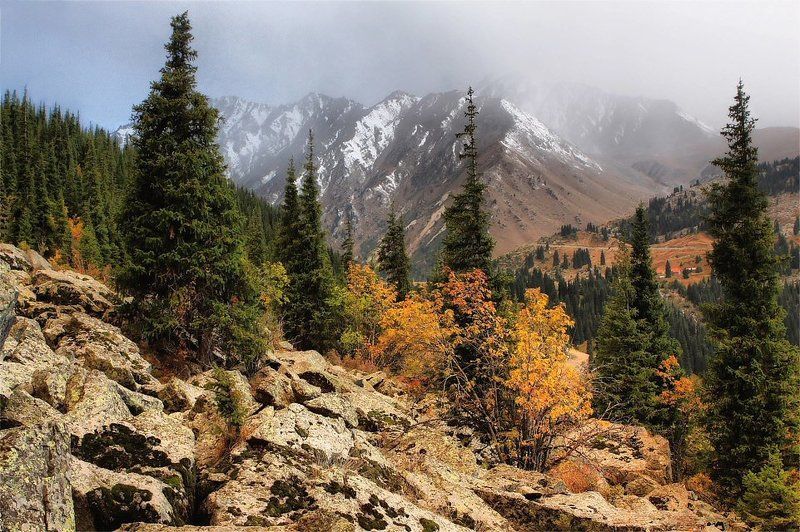 осень,горы в Заилийском алатауphoto preview