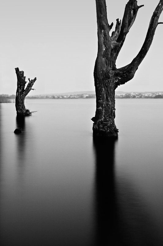 Two Witnessesphoto preview