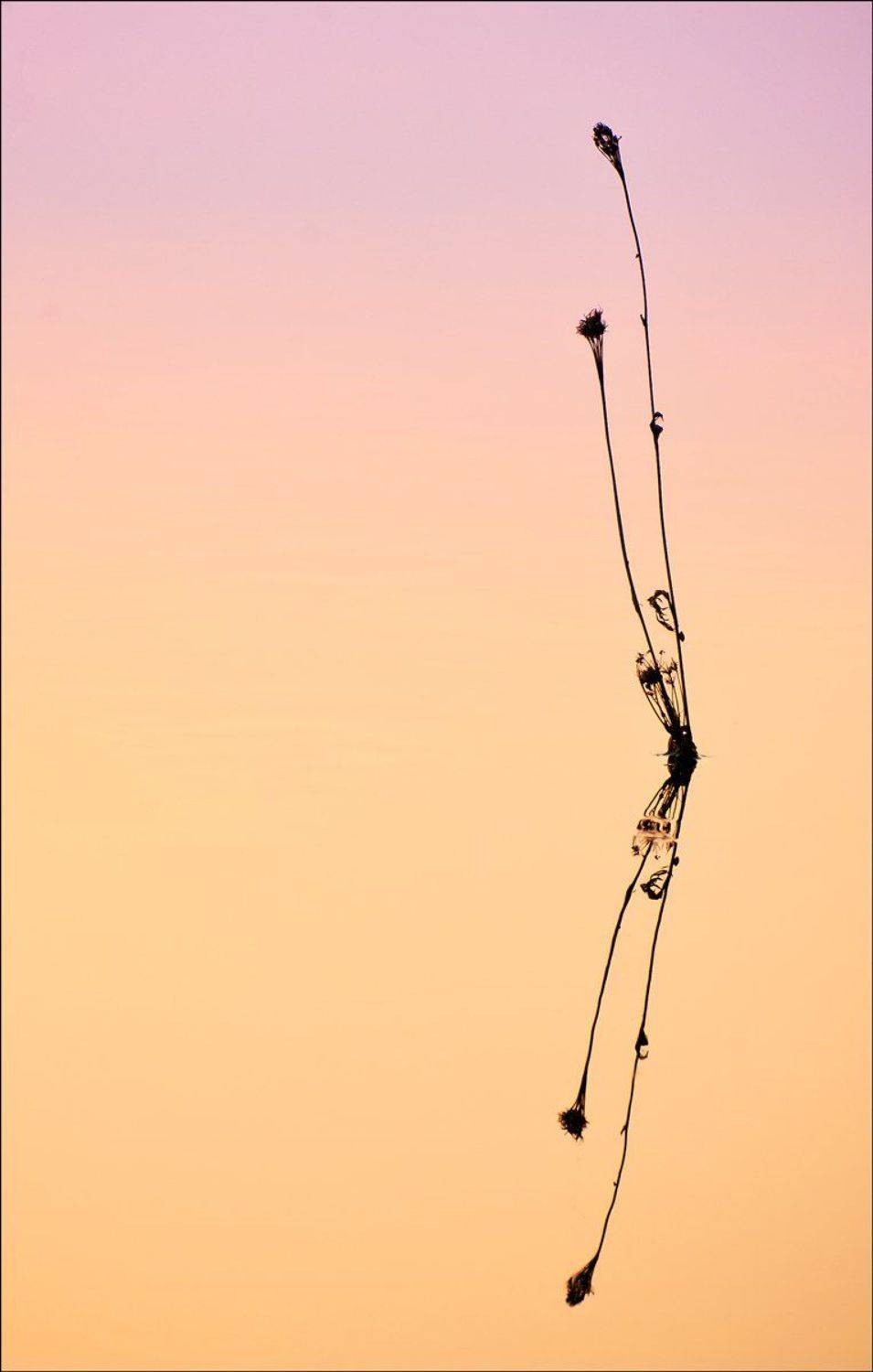 Автор: Срибный Евгений , Срибный Евгений