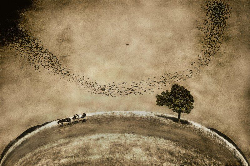 Crazy storyphoto preview