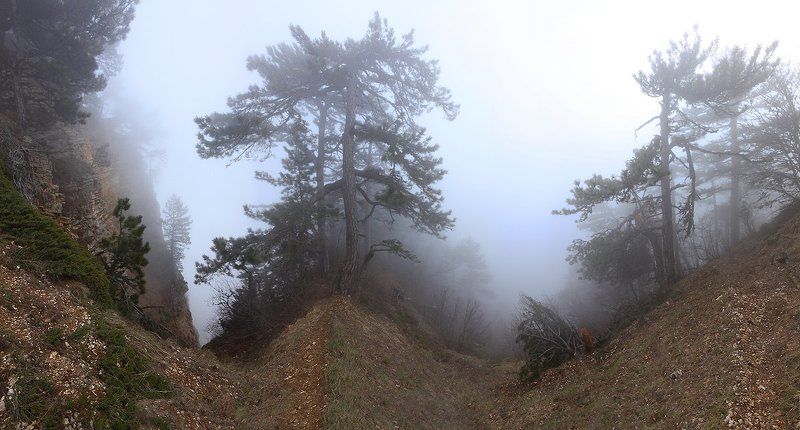 крым, лес, горы, туман, скалы Лесными тропамиphoto preview