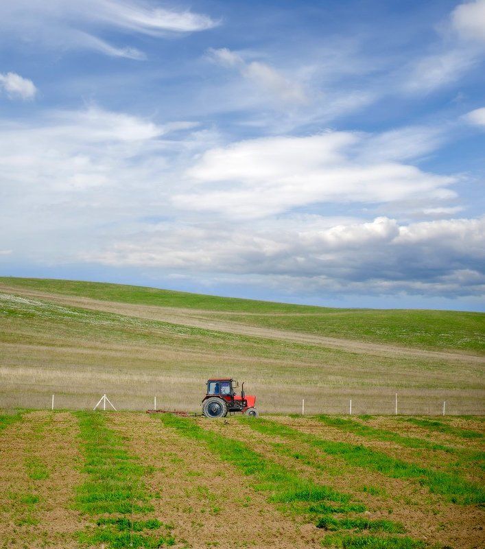 полевая-весенняяphoto preview
