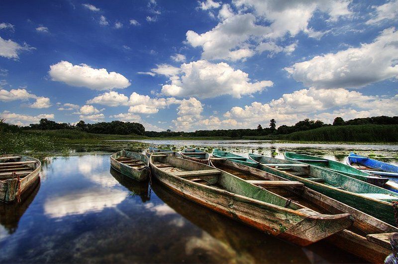 Весной на Оржицеphoto preview