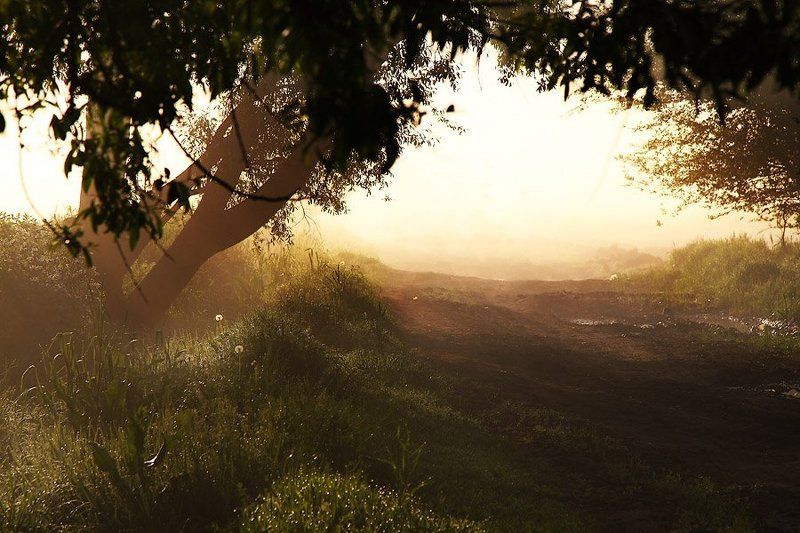 Рассветнаяphoto preview