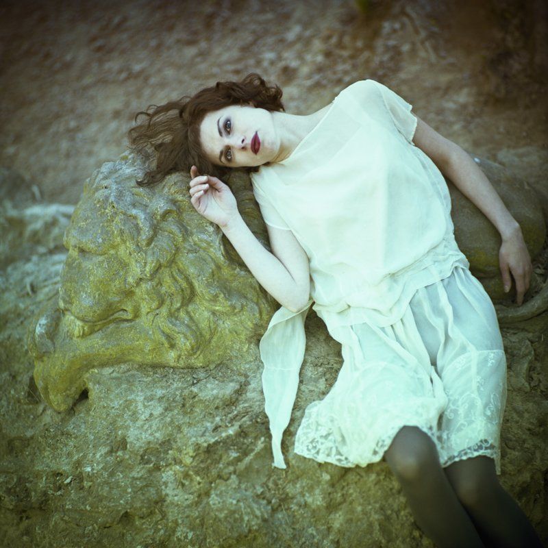 6x6\\\', portrait lion\'s bridephoto preview