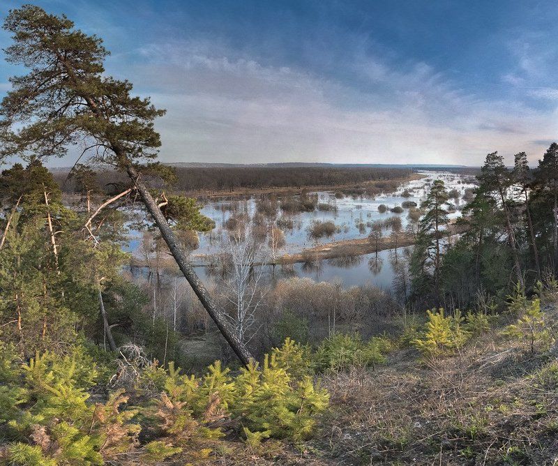 весна, пейзаж, лес, природа, панорама Берегите природу!photo preview