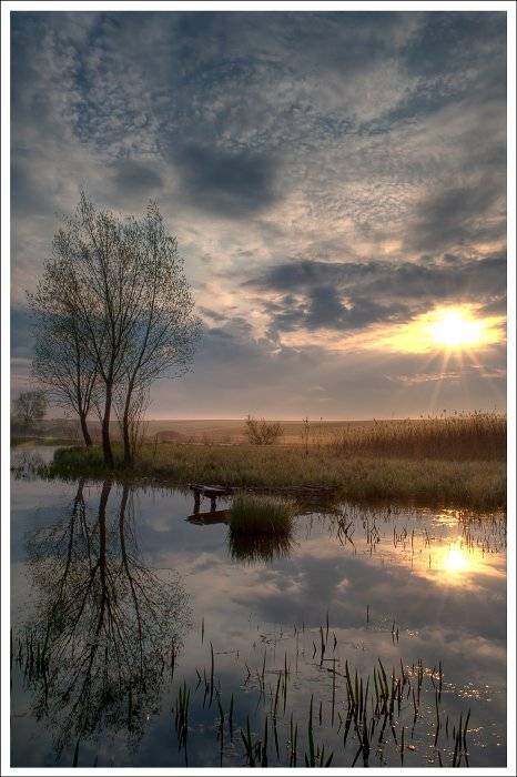 , Полищук И.В.