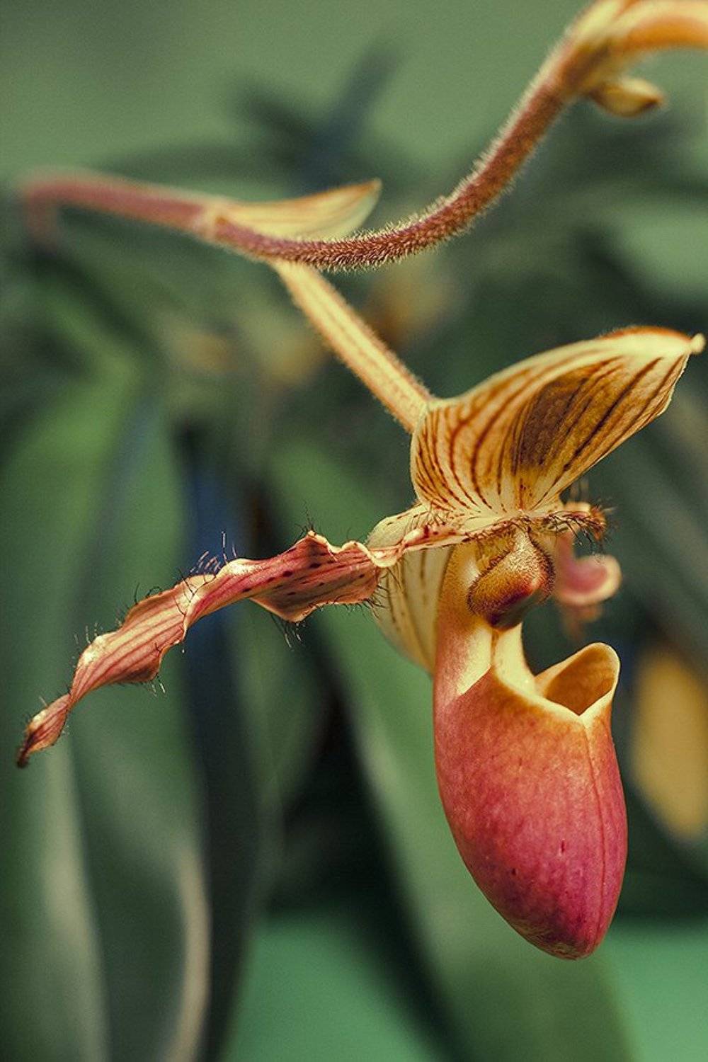 ***. Автор: Sergey Shaposhnikov , Sergey Shaposhnikov