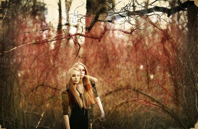 странный, лес Странный лесphoto preview