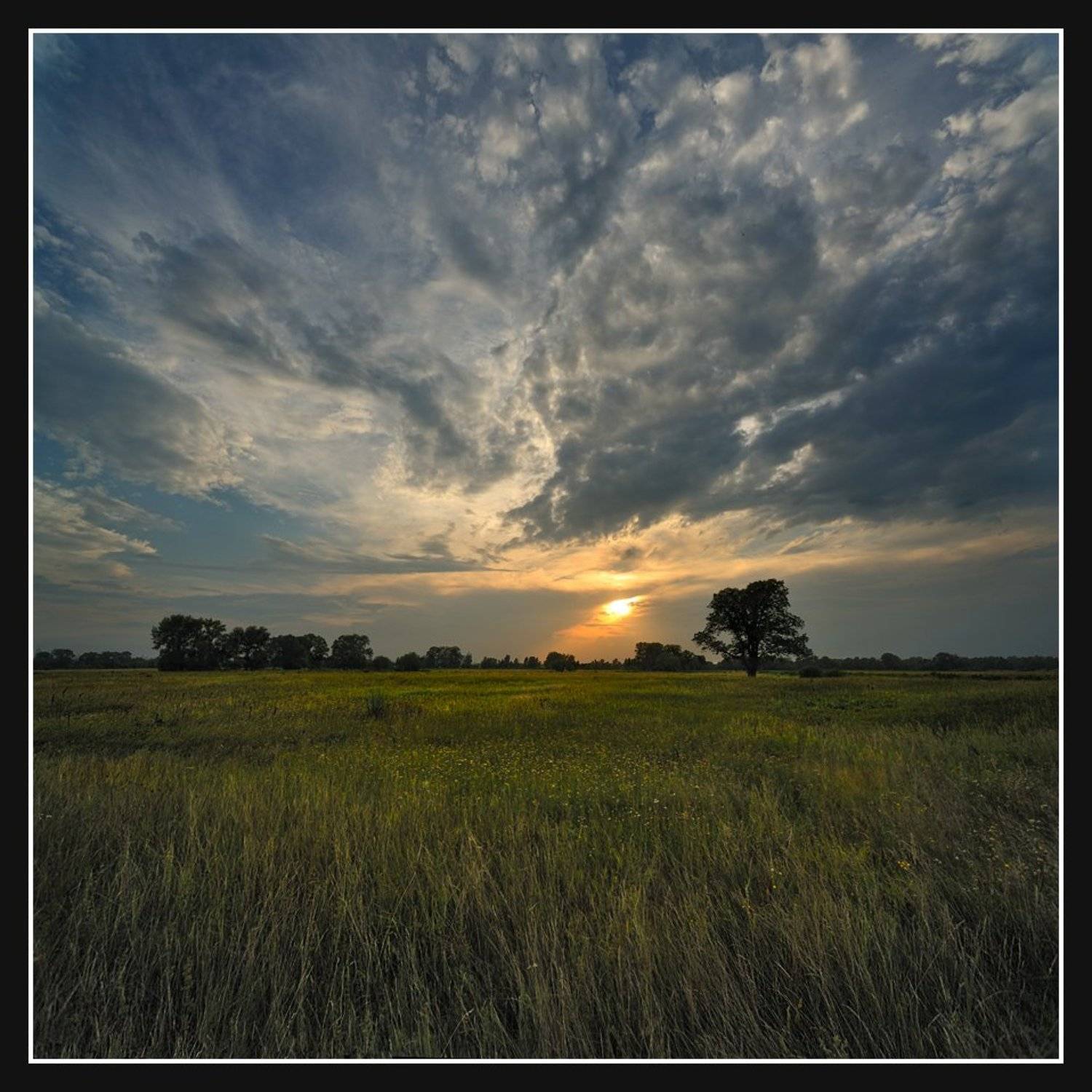 Август... День подходил к концу... (цветной вариант). Автор: Алексей Соловей , Алексей Соловей