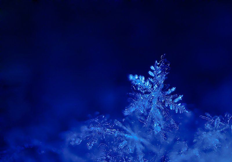 макро, снежинка Неудачное приземлениеphoto preview