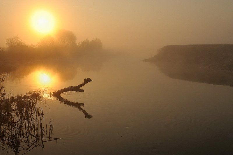 Песня...photo preview