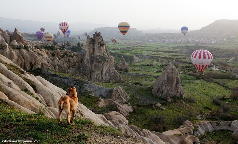 каппадокия, турция Хочется летатьphoto preview