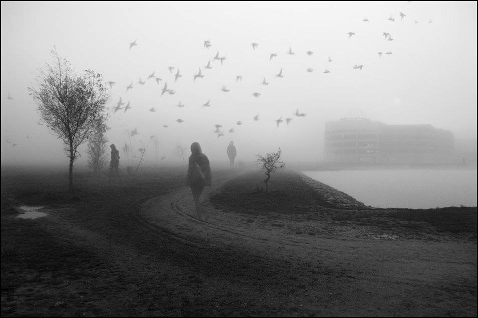 , Александр Гришаев