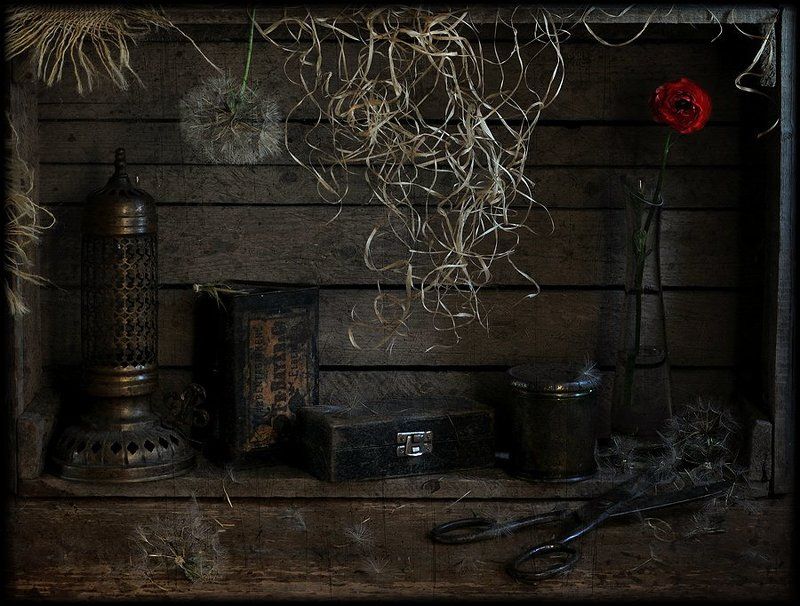натюрморт, старые вещи О красном лютике...photo preview